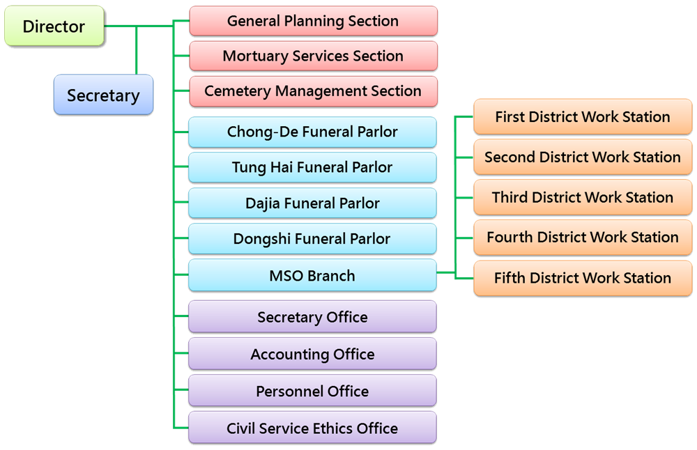 MSO Organization